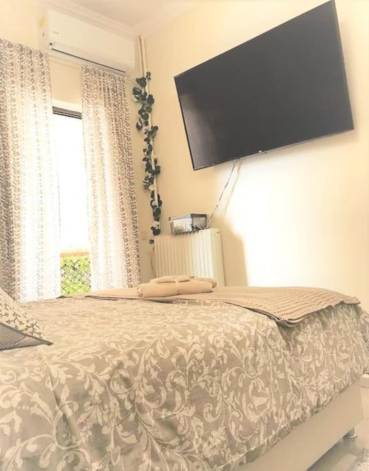 Apartment Theano's Cozy & Quiet Lux Flat - Wifi & Full Amenities