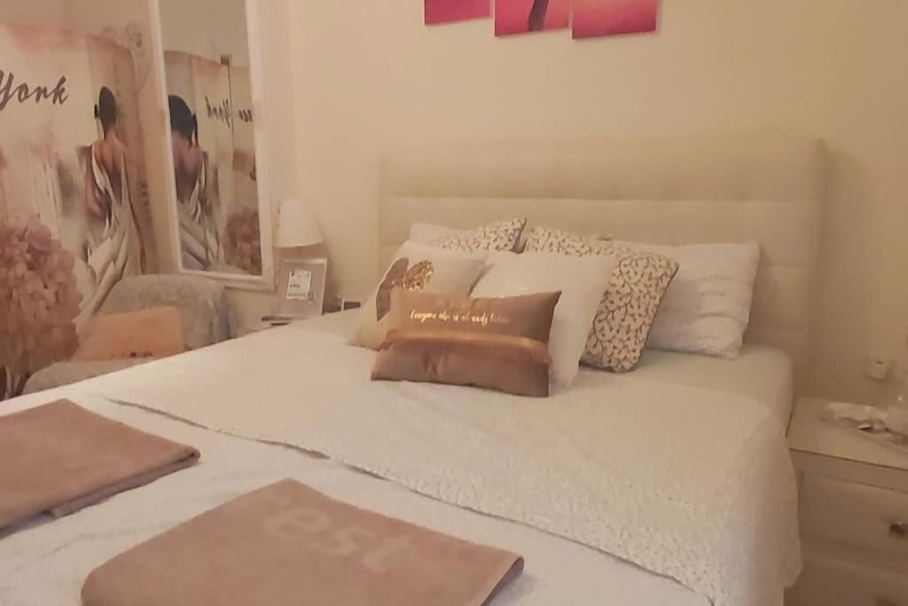 Theano's Cozy & Quiet Lux Flat - Wifi & Full Amenities Apartment *